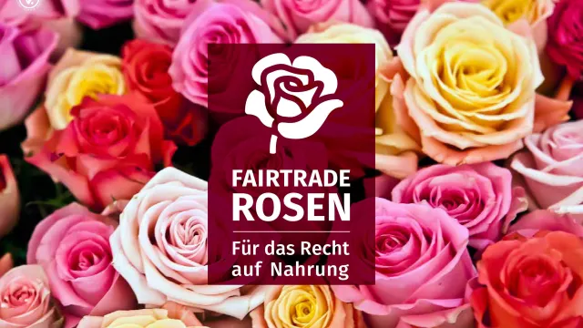 Rosenaktion Rosenaktion — Brot für alle - Fastenopfer